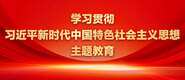 日女人骚逼学习贯彻习近平新时代中国特色社会主义思想主题教育_fororder_ad-371X160(2)